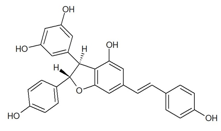 グネチンC　２．メリンジョの安全性